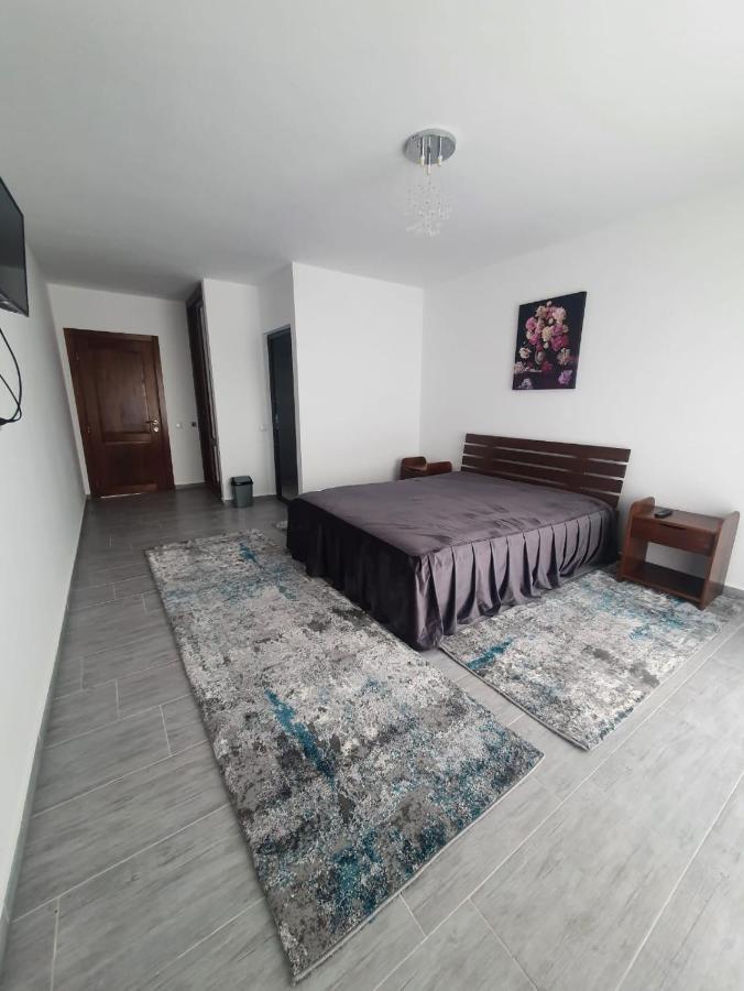 Casa De Vacanta Larisa Novaci-Străini エクステリア 写真