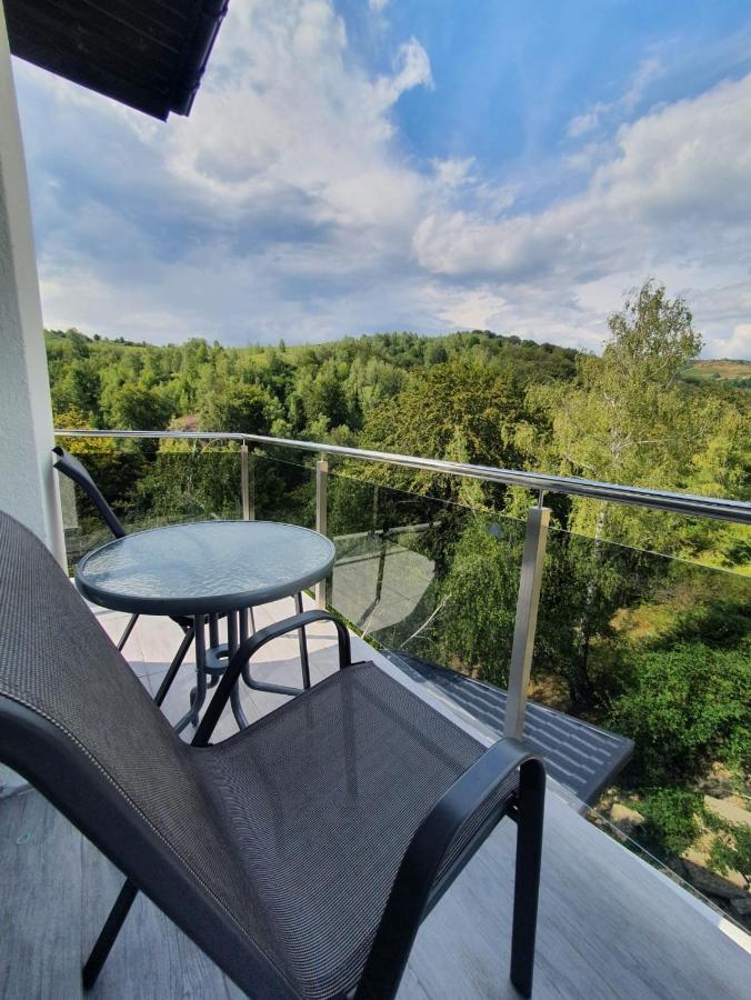 Casa De Vacanta Larisa Novaci-Străini エクステリア 写真