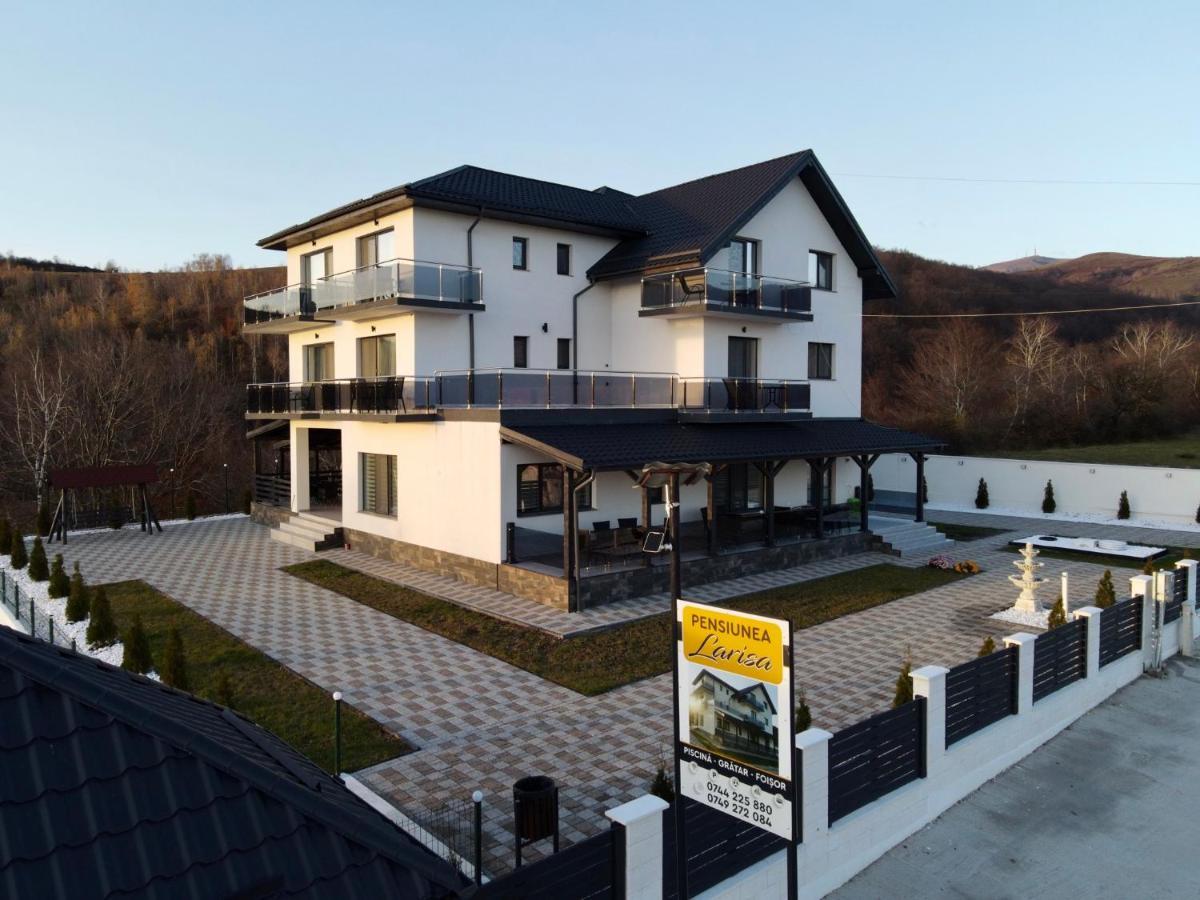 Casa De Vacanta Larisa Novaci-Străini エクステリア 写真
