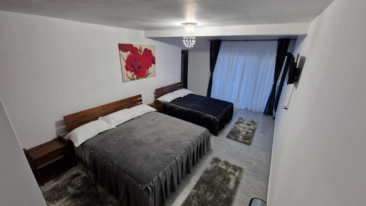 Casa De Vacanta Larisa Novaci-Străini エクステリア 写真